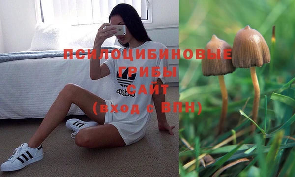 а пвп мука Ладушкин