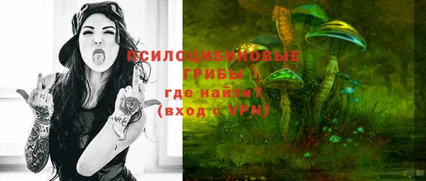 спиды Армянск