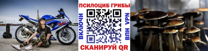 Галлюциногенные грибы MAGIC MUSHROOMS Тавда