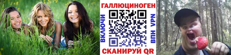 Галлюциногенные грибы GOLDEN TEACHER  даркнет состав  Тавда 